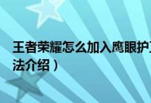 王者榮耀怎么加入鷹眼護(hù)衛(wèi)隊(duì)（王者榮耀加入鷹眼護(hù)衛(wèi)隊(duì)方法介紹）