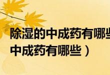 除濕的中成藥有哪些最常用（除濕最快最好的中成藥有哪些）