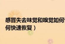 感冒失去味覺和嗅覺如何快速康復（感冒失去味覺和嗅覺如何快速恢復）