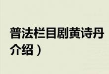 普法欄目劇黃詩(shī)丹（關(guān)于普法欄目劇黃詩(shī)丹的介紹）