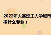 2022年大連理工大學(xué)城市學(xué)院招生計劃及招生人數(shù)（各省都招什么專業(yè)）