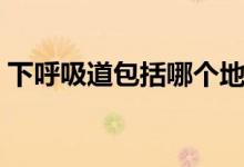 下呼吸道包括哪個地方（下呼吸道包括什么）