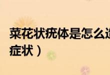 菜花狀疣體是怎么造成的（菜花狀疣體是什么癥狀）