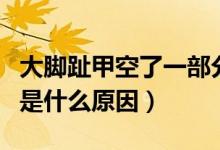 大腳趾甲空了一部分怎么回事（大腳趾甲空了是什么原因）