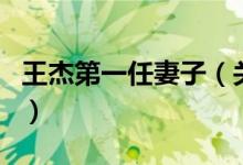 王杰第一任妻子（關(guān)于王杰第一任妻子的介紹）
