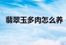 翡翠玉多肉怎么養(yǎng)（翡翠玉多肉如何養(yǎng)護）