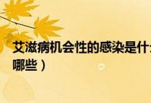 艾滋病機(jī)會(huì)性的感染是什么意思（艾滋病常見(jiàn)機(jī)會(huì)性感染有哪些）