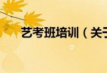 藝考班培訓（關于藝考班培訓的介紹）