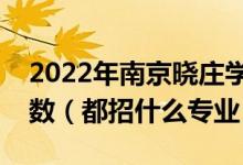 2022年南京曉莊學院各省招生計劃及招生人數(shù)（都招什么專業(yè)）