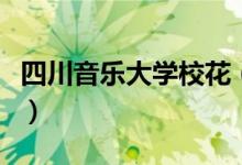 四川音樂大學?；ǎㄋ拇ㄒ魳穼W院?；Ь_）