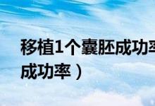 移植1個(gè)囊胚成功率有多高（移植1個(gè)囊胚的成功率）