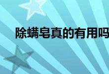 除螨皂真的有用嗎（除螨皂多久用一次）