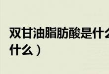 雙甘油脂肪酸是什么東西（雙甘油脂肪酸酯是什么）