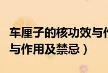 車厘子的核功效與作用及禁忌（車厘子的功效與作用及禁忌）