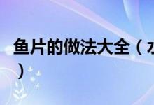 魚片的做法大全（水煮魚片的制作步驟是什么）