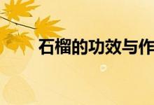 石榴的功效與作用（超喜歡吃石榴）