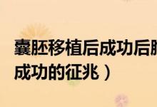 囊胚移植后成功后胸痛幾天消失（囊胚移植后成功的征兆）