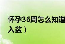 懷孕36周怎么知道入盆（懷孕36周怎么知道入盆）