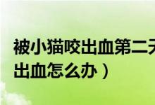 被小貓咬出血第二天打疫苗可以嗎（被小貓咬出血怎么辦）