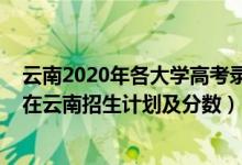 云南2020年各大學(xué)高考錄取分?jǐn)?shù)線(xiàn)（2022年全國(guó)各大高校在云南招生計(jì)劃及分?jǐn)?shù)）