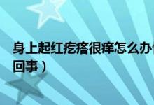 身上起紅疙瘩很癢怎么辦快速止癢（身上起紅疙瘩很癢怎么回事）