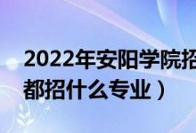 2022年安陽學(xué)院招生計劃及招生人數(shù)（各省都招什么專業(yè)）