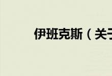 伊班克斯（關(guān)于伊班克斯的介紹）
