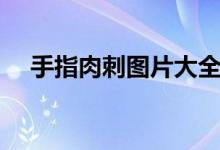 手指肉刺圖片大全（手指肉刺怎么治療）