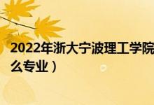 2022年浙大寧波理工學(xué)院招生計(jì)劃及招生人數(shù)（各省都招什么專業(yè)）