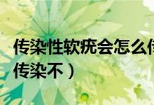 傳染性軟疣會怎么傳染別人（扁平疣夫妻同房傳染不）