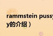 rammstein pussy（關(guān)于rammstein pussy的介紹）