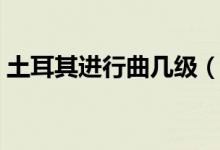 土耳其進(jìn)行曲幾級(jí)（土耳其進(jìn)行曲是第八級(jí)）