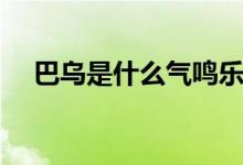 巴烏是什么氣鳴樂器（巴烏指的是什么）