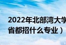 2022年北部灣大學(xué)招生計劃及招生人數(shù)（各省都招什么專業(yè)）