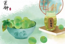 2022成都靠譜老牌海選品茶場(chǎng)子現(xiàn)場(chǎng)酒店工作室推薦