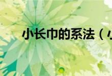 小長巾的系法（小長絲巾怎么系好看）