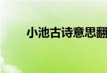 小池古詩(shī)意思翻譯（小池古詩(shī)意思）