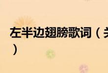 左半邊翅膀歌詞（關(guān)于左半邊翅膀歌詞的介紹）
