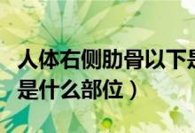 人體右側肋骨以下是什么部位（人體肋骨下方是什么部位）