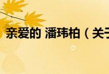 親愛的 潘瑋柏（關(guān)于親愛的 潘瑋柏的介紹）