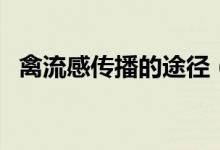 禽流感傳播的途徑（禽流感是如何傳染的）