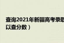 查詢2021年新疆高考錄取分（新疆2022年高考什么時候可以查分數(shù)）