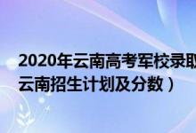 2020年云南高考軍校錄取分數(shù)（2022年全國提前批軍校在云南招生計劃及分數(shù)）