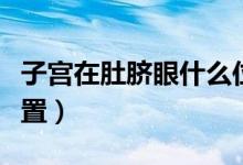 子宮在肚臍眼什么位置（子宮在肚臍眼什么位置）