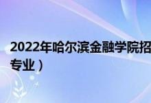 2022年哈爾濱金融學(xué)院招生計(jì)劃及招生人數(shù)（各省都招什么專業(yè)）
