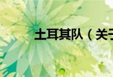 土耳其隊(duì)（關(guān)于土耳其隊(duì)的介紹）