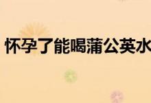 懷孕了能喝蒲公英水嗎（懷孕了能喝咖啡嗎）