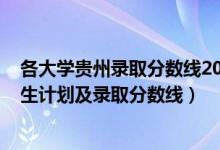 各大學(xué)貴州錄取分?jǐn)?shù)線2020（2022年雙一流大學(xué)在貴州招生計(jì)劃及錄取分?jǐn)?shù)線）