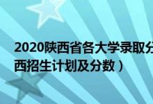 2020陜西省各大學(xué)錄取分?jǐn)?shù)線（2022年全國各大高校在陜西招生計(jì)劃及分?jǐn)?shù)）