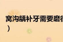 窩溝齲補(bǔ)牙需要磨很大么（窩溝齲補(bǔ)牙多少錢）